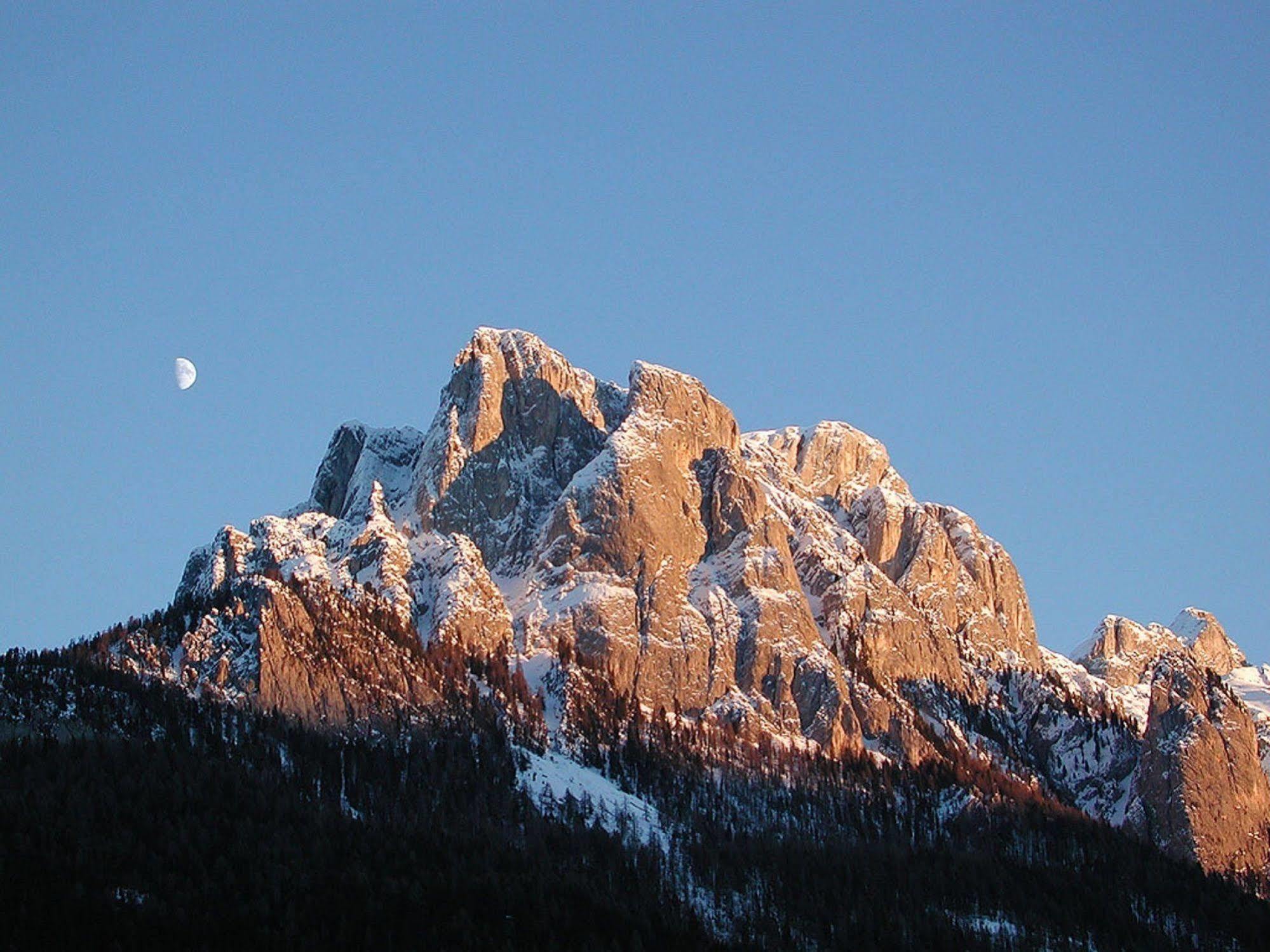 Gh Hotel Monzoni Pozza di Fassa Eksteriør bilde